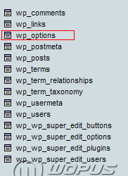 wp_options_1